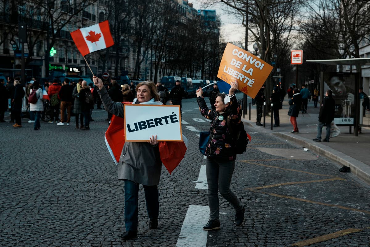 Paris police thwart advance of virus protesters on capital