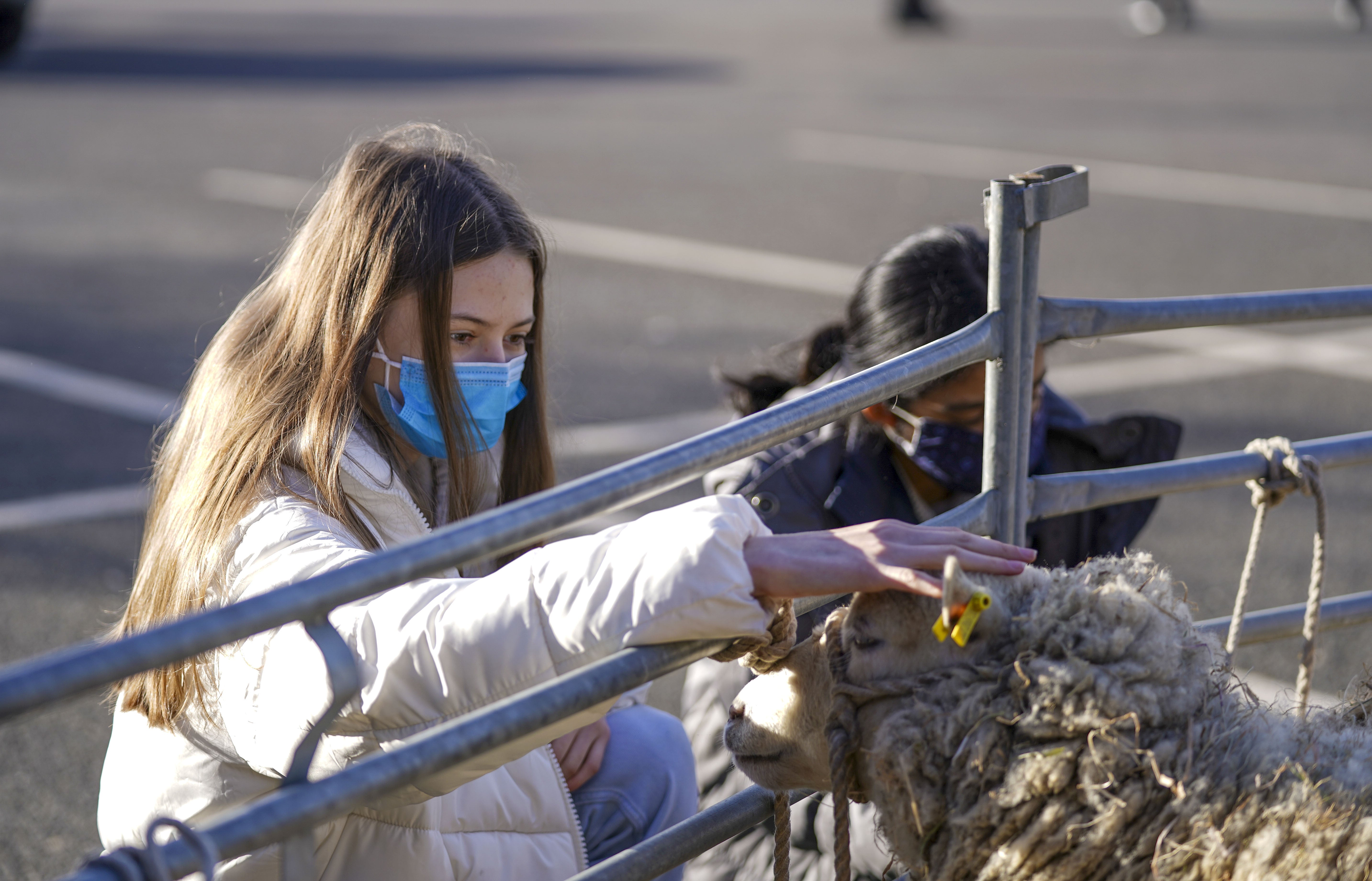 Veronika and Sama stroke a sheep (Steve Parsons/PA)