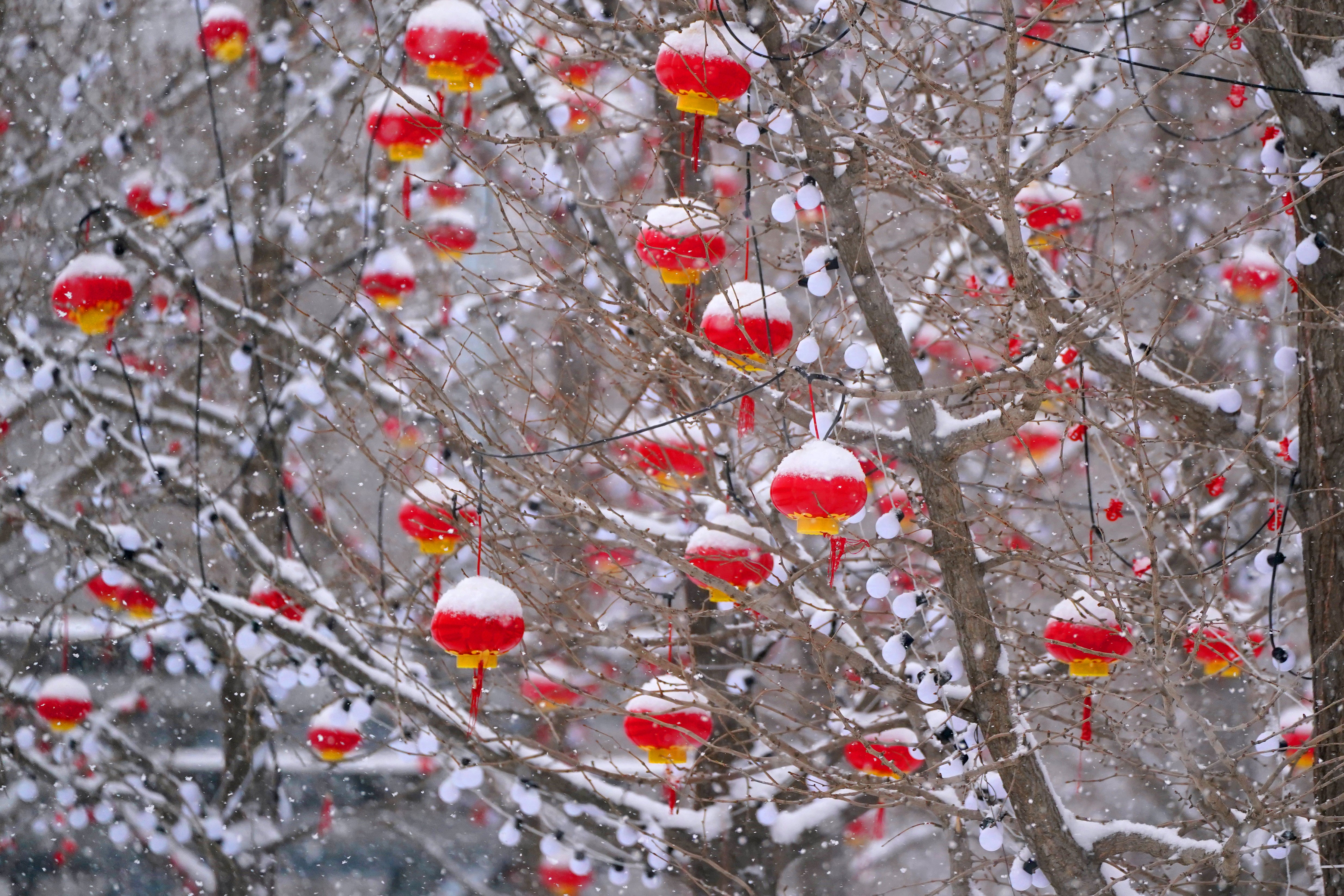 Snow covered lanterns in the Olympic Park during day nine of the 2022 Winter Olympic Games (Andrew Milligan/PA)