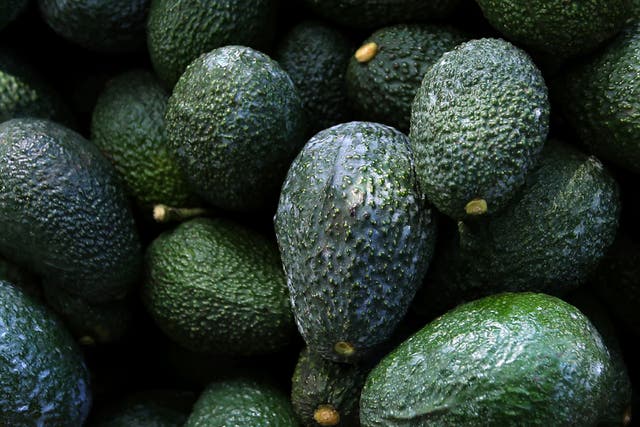<p>Recently harvested avocados at an orchard in Michoacán state, Mexico, October 2019</p>