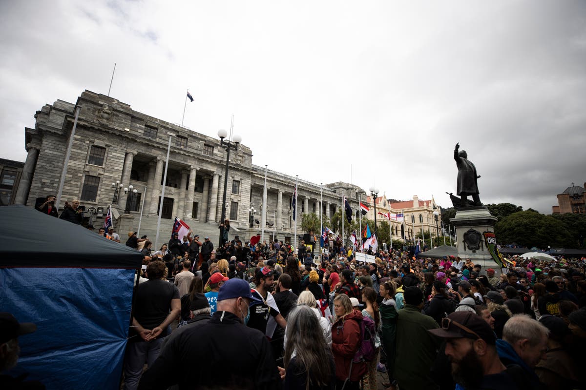 Nueva Zelanda anuncia estrategia más dura contra protestas Nueva Zelanda anuncia estrategia más dura contra protestas