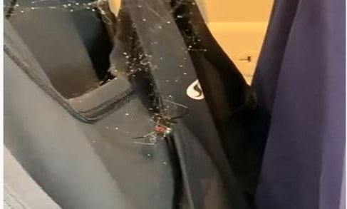 A black widow spider was spotted lurking between workout clothes at Lululemon