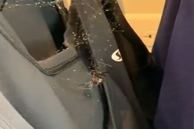 <p>A black widow spider was spotted lurking between workout clothes at Lululemon</p>