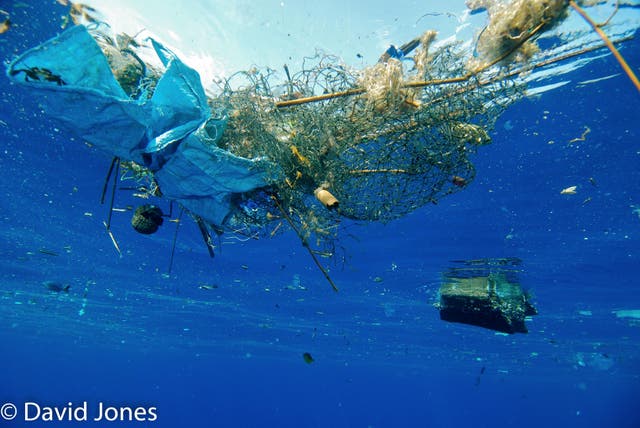 <p>Plastic pollution in the ocean (David Jones/PA)</p>