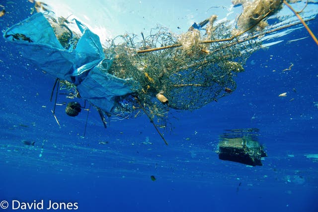 <p>Plastic pollution in the ocean (David Jones/PA)</p>