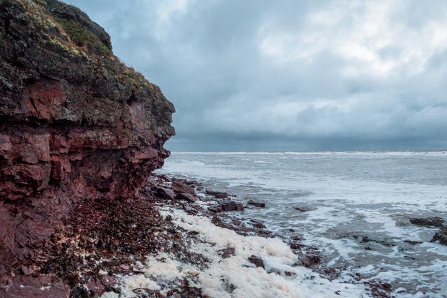 <p>Coastal erosion on the coast of the White Sea, northwest Russia</p>