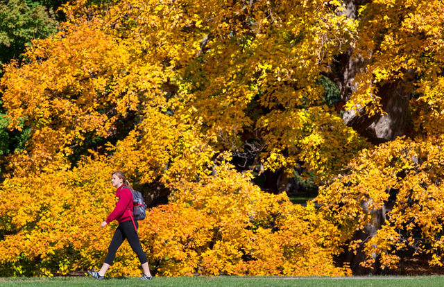 <p>File: Student walks across ISU’s central campus in Ames, Iowa </p>