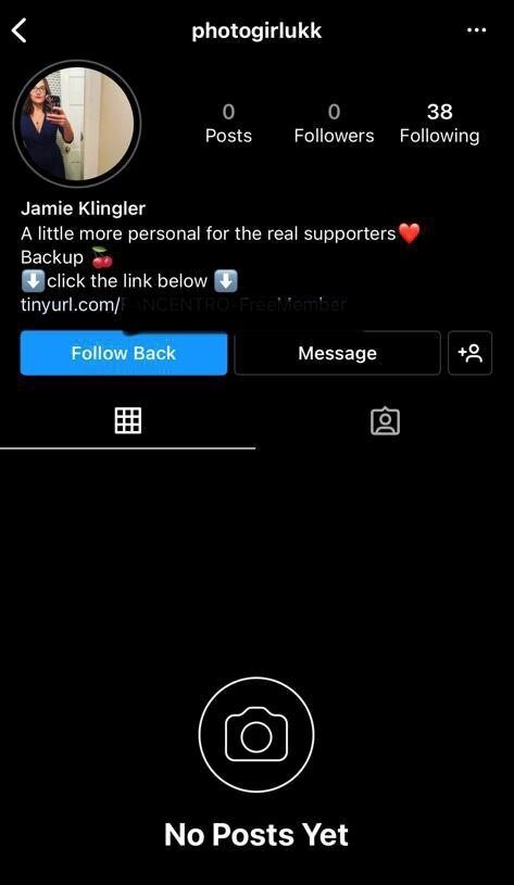 The profile page of the fake Instagram account pretending to be Jamie Klingler (Jamie Klingler and Instagram/PA)