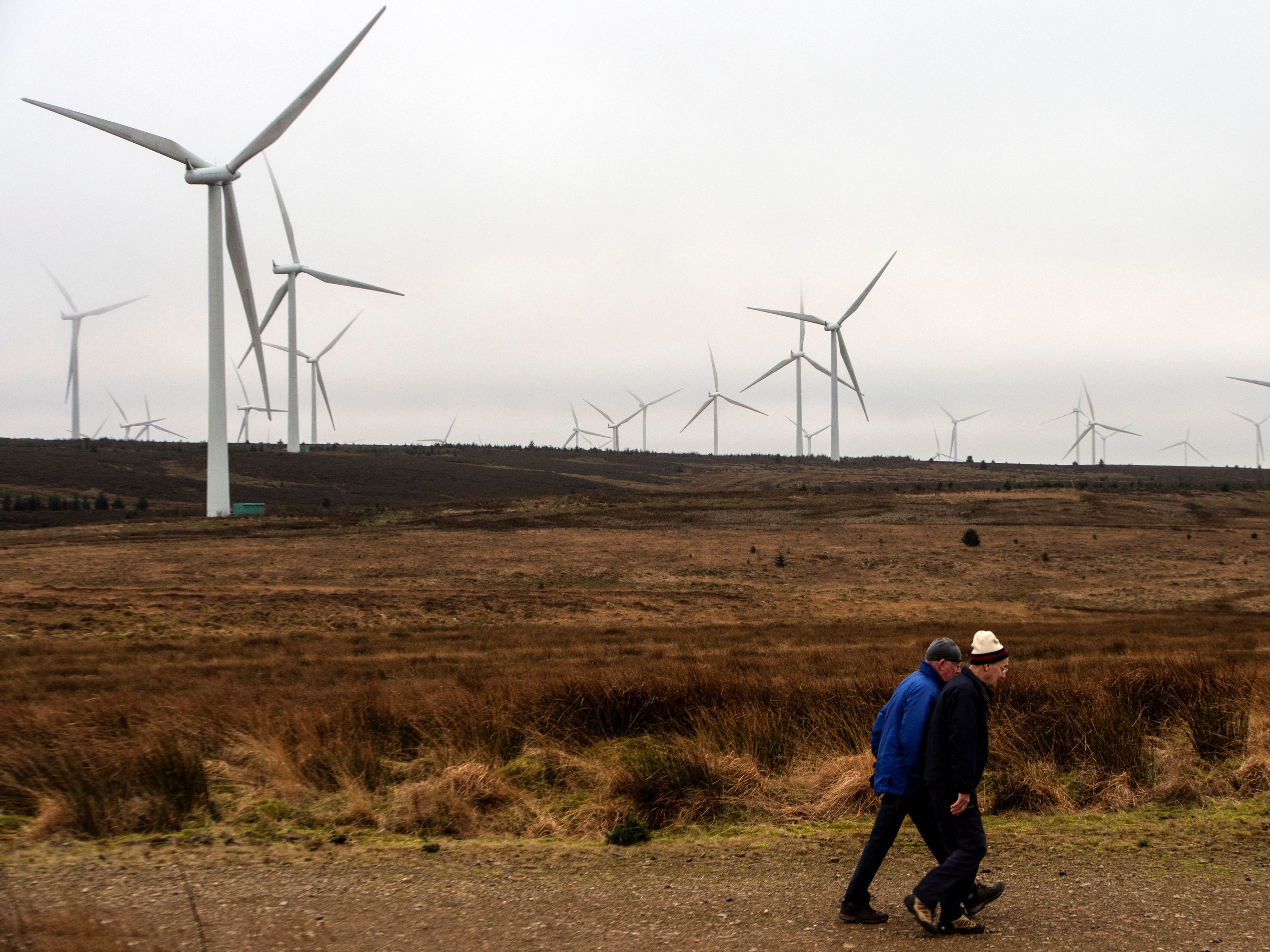 Members of the public walk past wind turbines operated by ScottishPower Renewables
