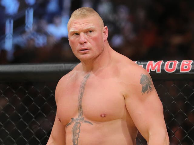 <p>Former UFC heavyweight champion Brock Lesnar</p>