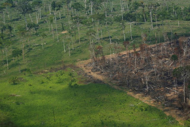 <p>A deforested plot of the Amazon rainforest in Rondonia State, Brazil in September. Vast tracts of trees disappeared last month, Brazil’s space agency reported</p>