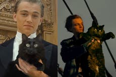 Cat replaces Kate Winslet as Leonardo DiCaprio’s love interest in ‘Titanic’ parody video: ‘Purrrfect romance’