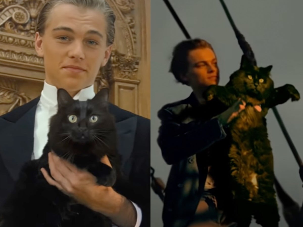 Cat replaces Kate Winslet as Leonardo DiCaprio love interest in Titanic  parody video | The Independent