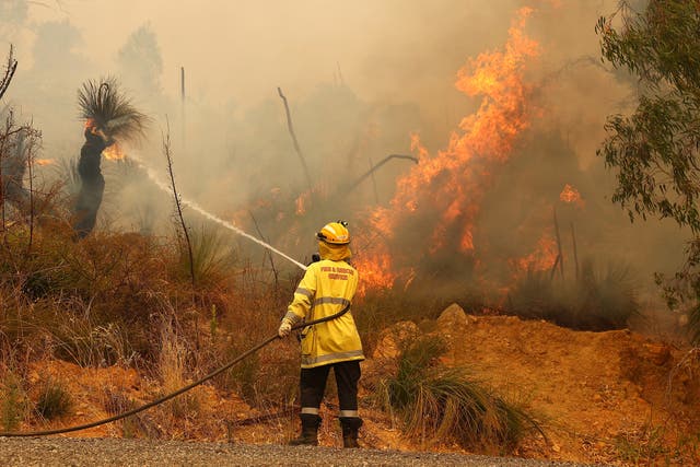 <p>Fire crews control bush fires as they approach properties on Copley Road in Upper Swan on 2 February, 2021 in Perth, Australia</p>