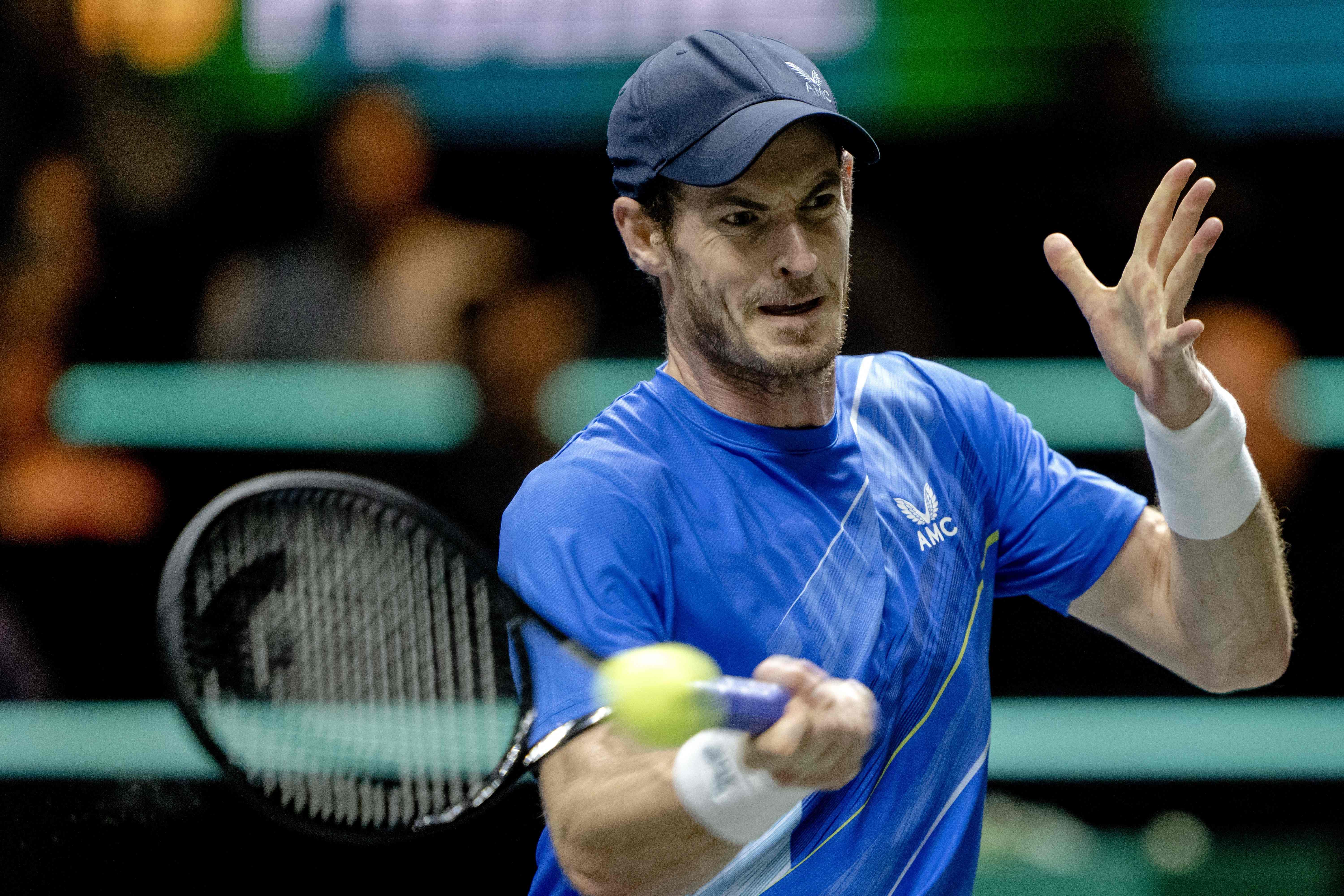 Ambient wapenkamer ornament Andy Murray LIVE: Tennis match updates from Qatar Open today | The  Independent