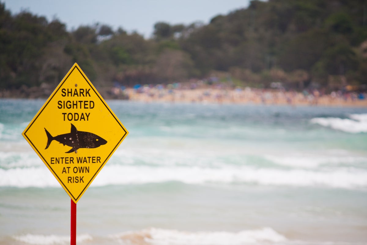 Güney Avustralya'da ücra bir plajda köpekbalığı saldırısından sonra bir kişinin ölümünden korkuluyor