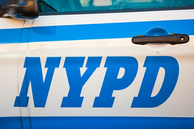 <p>Several pedestrians were seriously injured after an NYPD car jumped a curb in the Bronx </p>