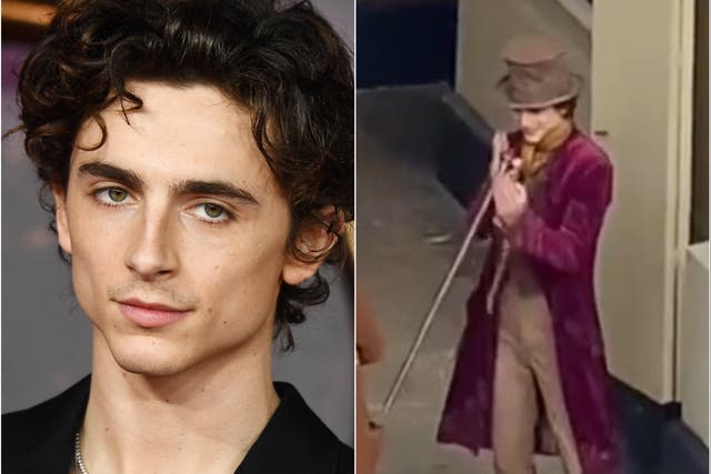 <p>Timothee Chalamet will play a younger version of Willy Wonka in the forthcoming ‘Wonka'</p>