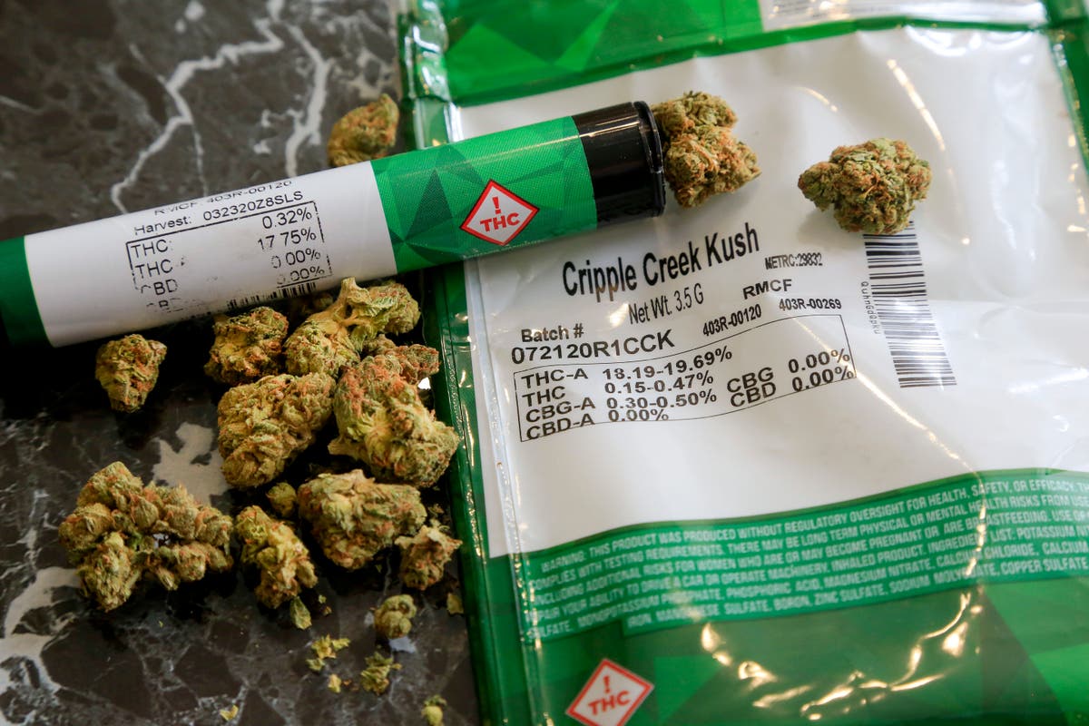 Key details await as NY eyes $200M pot business equity fund Key details await as NY eyes $200M pot business equity fund