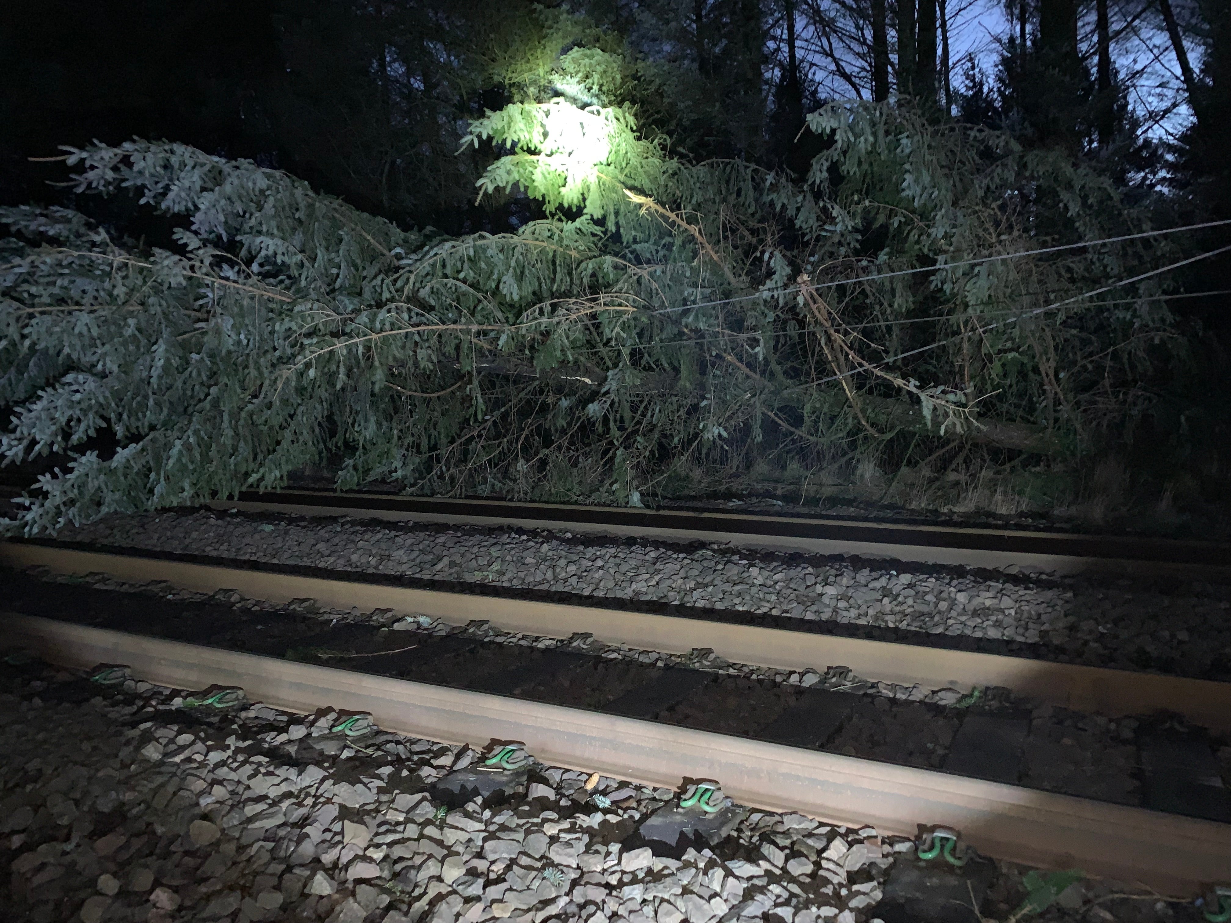A photo shoared by Network Rail Scotland of a tree on the line follwoing Storm Dudley (Network Rail Scotland/PA)