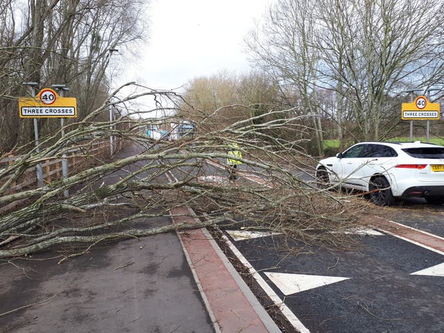 <p>A tree is blown into the road at Three Crosses in Ross-on-Wye</p>