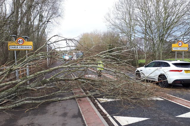 Un árbol es volado hacia la carretera en Three Crosses en Ross-on-Wye
