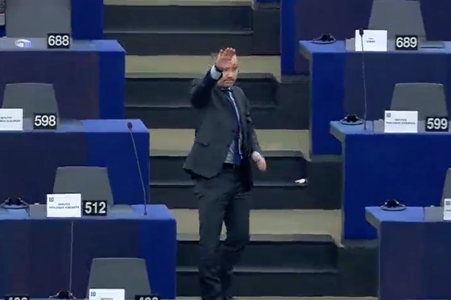 <p>The MEP was pictured on camera making the gesture</p>