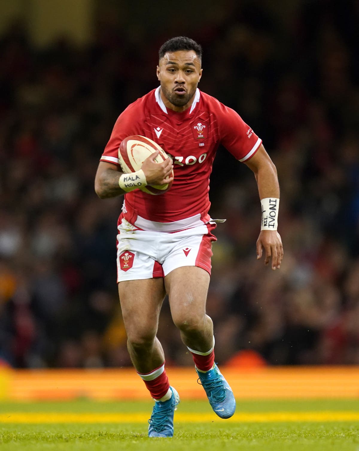 Wales centre Uilisi Halaholo to sit out Cardiff game after suffering cut eyelid