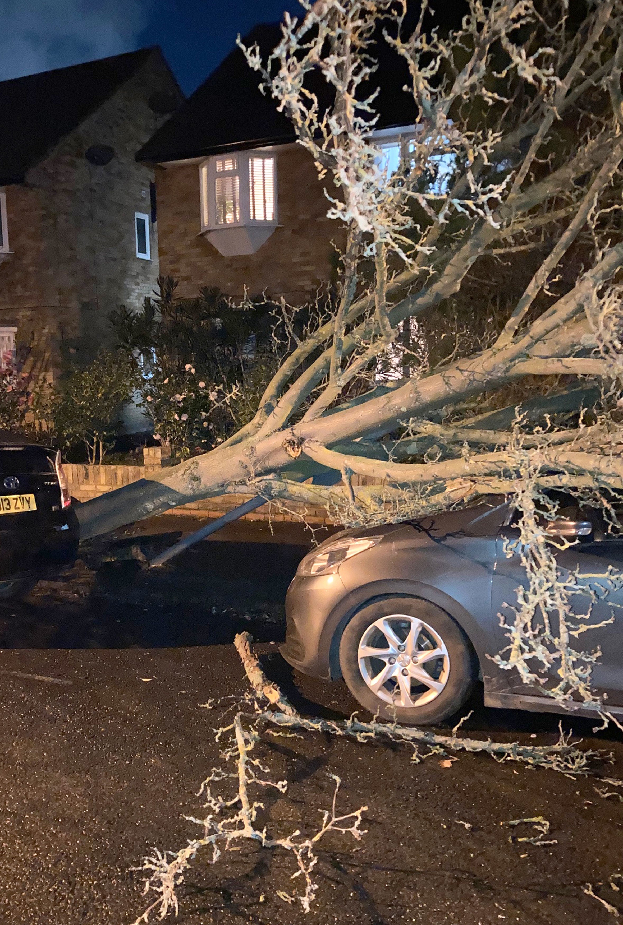 A tree which has fallen onto a car in Ealing, West London