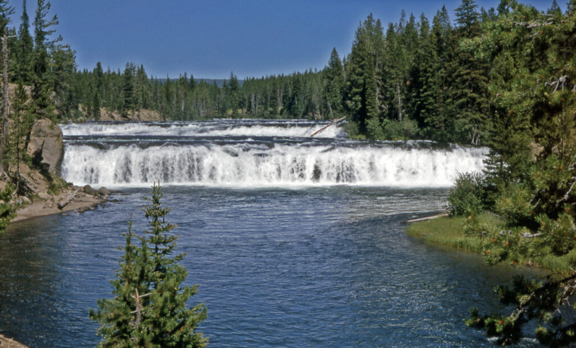 Cave Falls (pictured) is located in Yellowstone National Park’s so-called “zone of death”