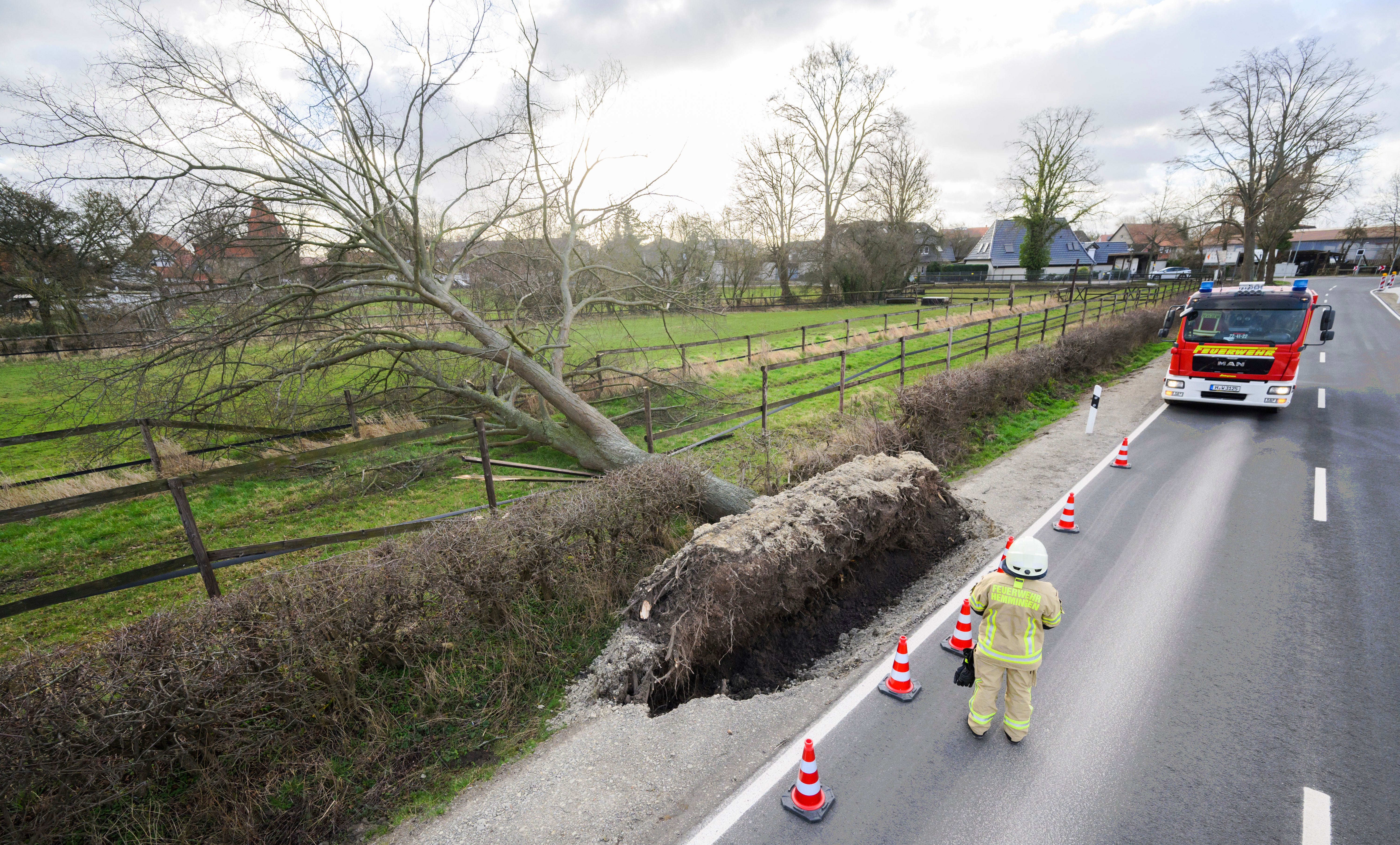 A firefighter stands next to a falling tree at a road in Wilkenburg near Hannover, Germany,