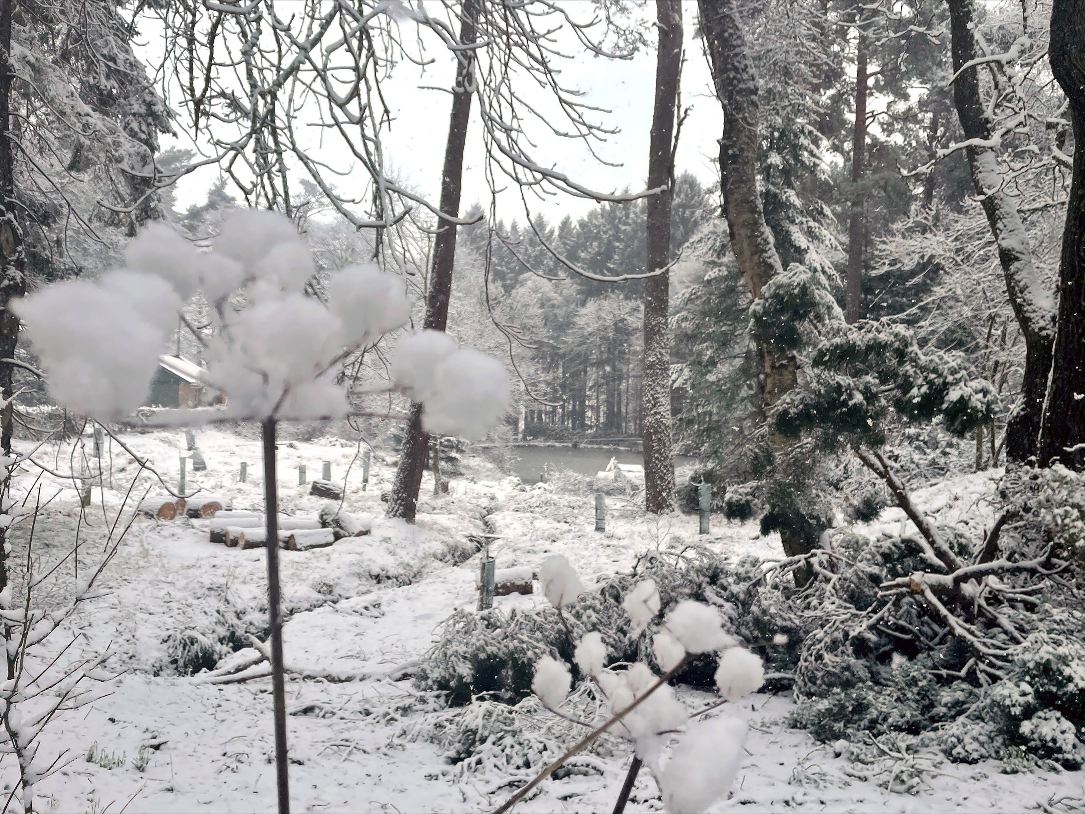 Fresh snowfall near Huntly, Aberdeenshire