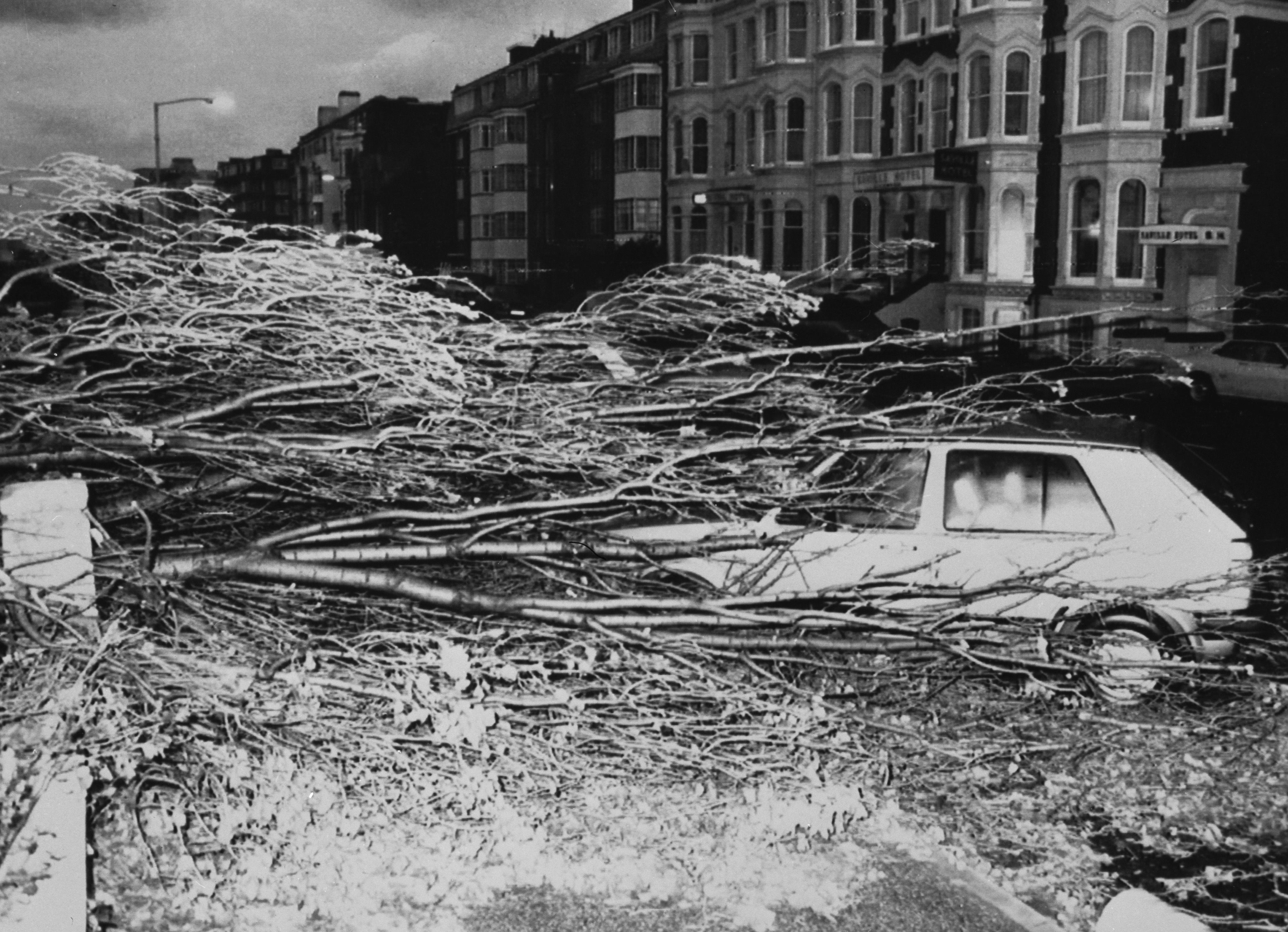 Fallen trees crashed onto cars in Portsmouth during the Great Storm of 1987.