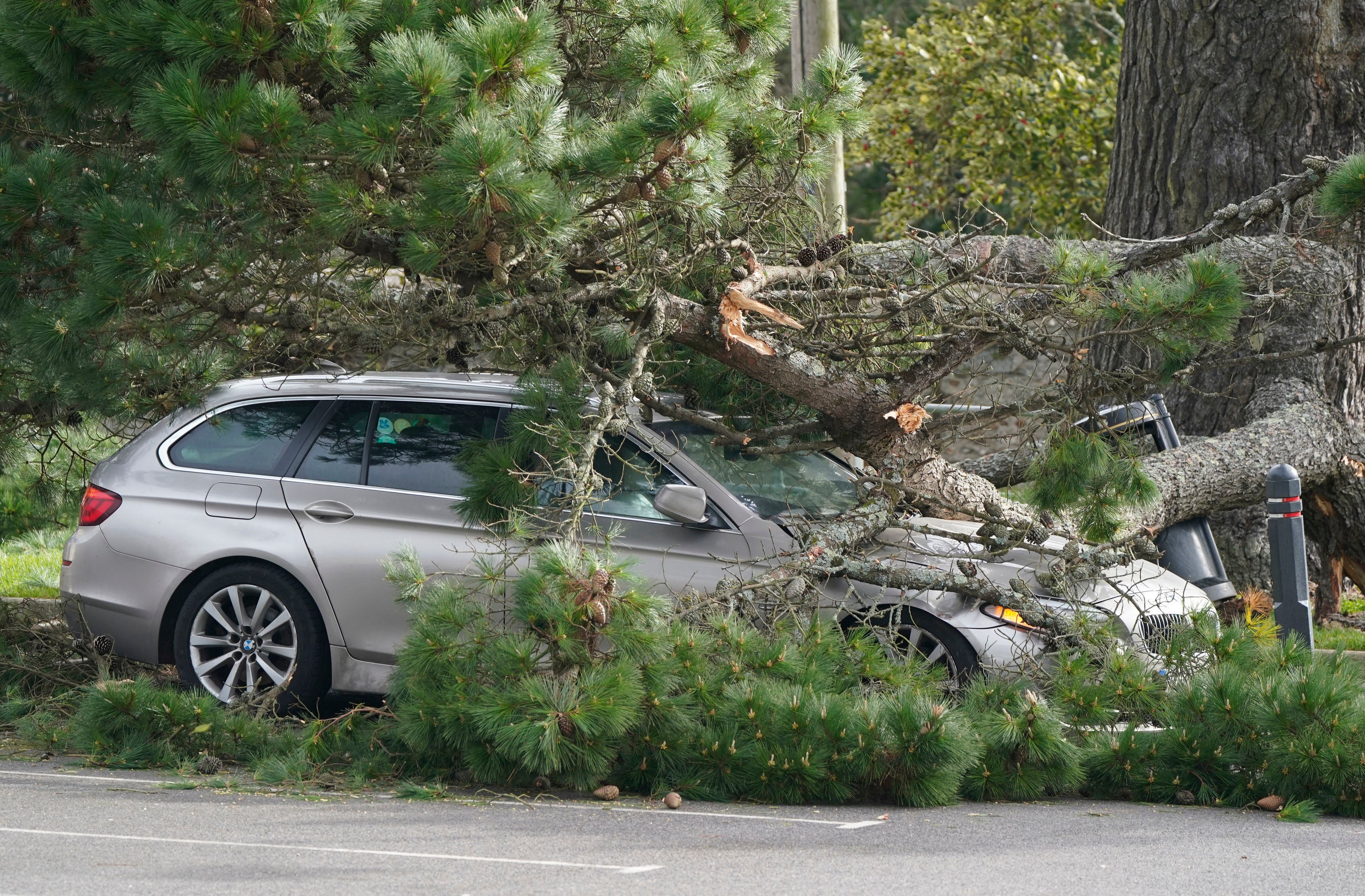 A fallen branch on a car in a car park in Lyme Regis, west Dorset, as Storm Eunice hits the south coast