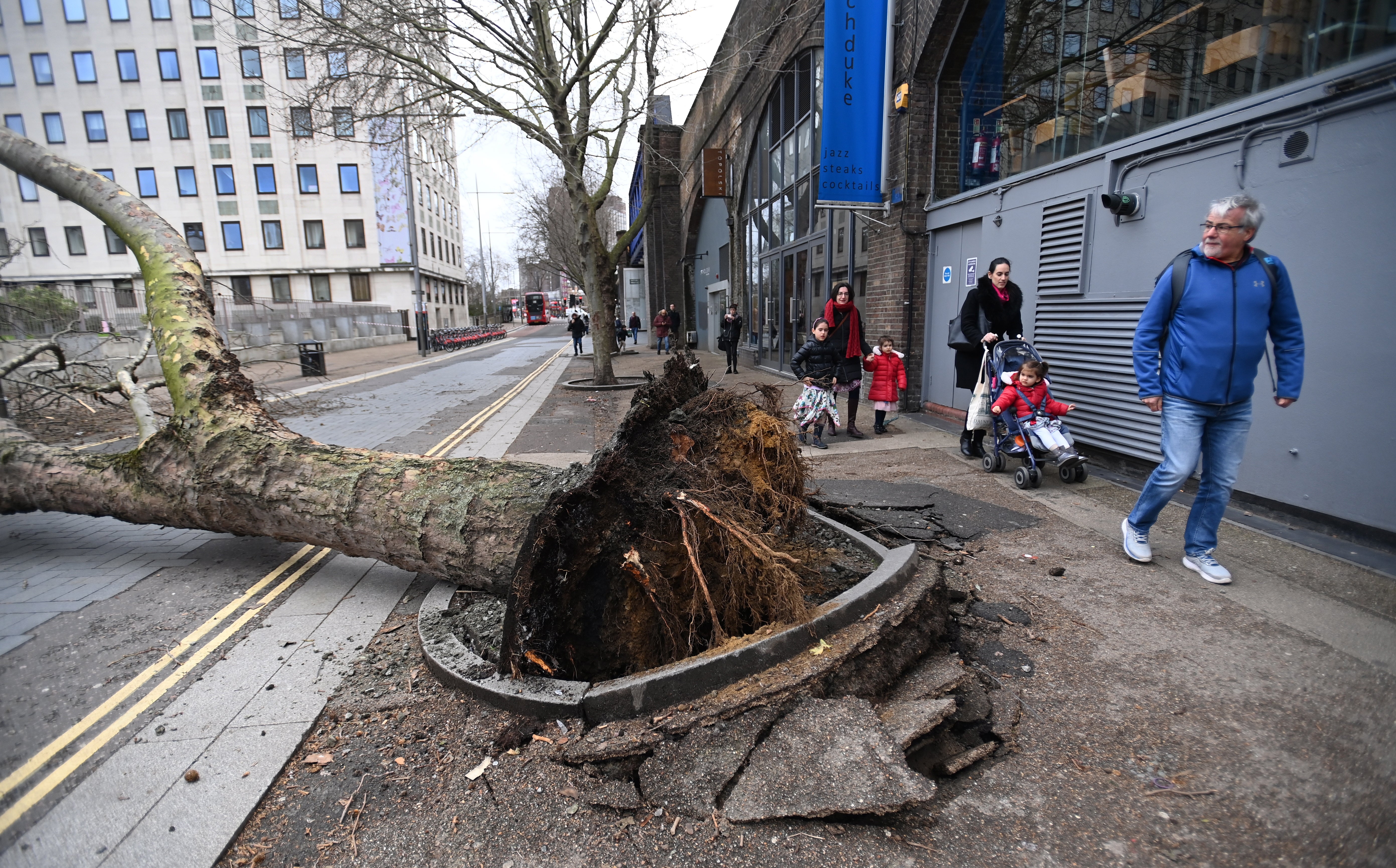 People walk past a fallen tree brought down by strong winds during Storm Eunice in London
