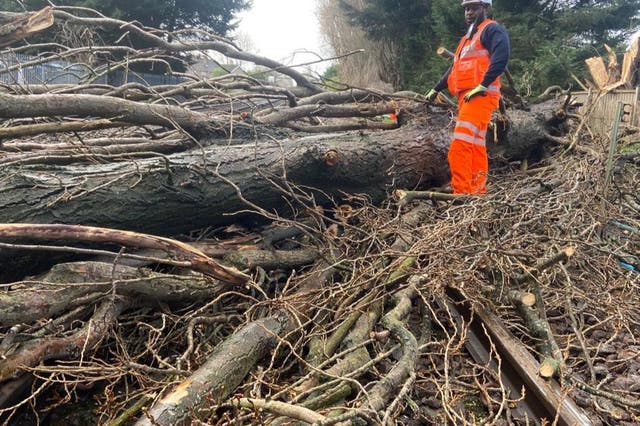 <p>Fallen trees blocking railway lines in the Ewell West areas in Epsom</p>
