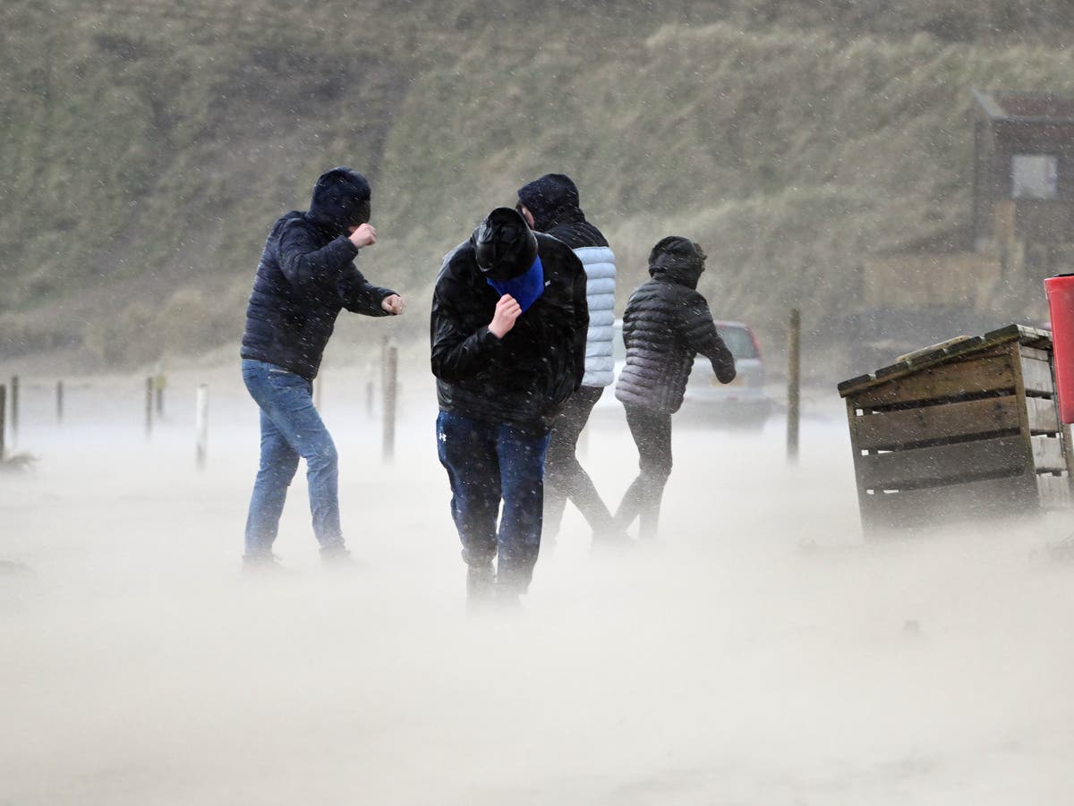 Storm Eunice claims first victim as man hit by falling tree in Ireland