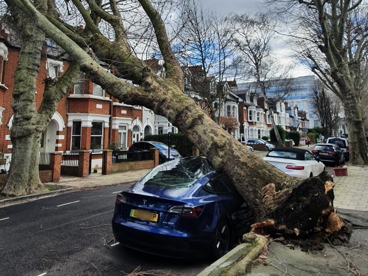 Storm Eunice: Three dead in UK as woman and two men killed by trees and debris hitting cars