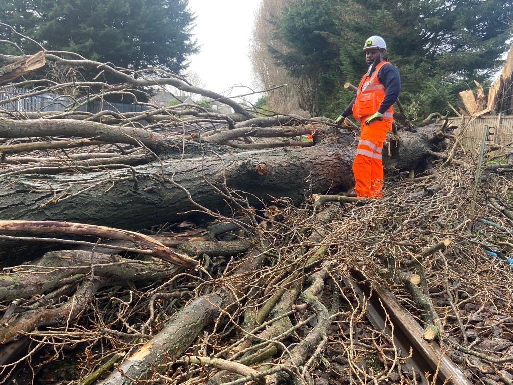 Fallen trees blocking lines in the Ewell West area of Epsom (Network Rail/PA)