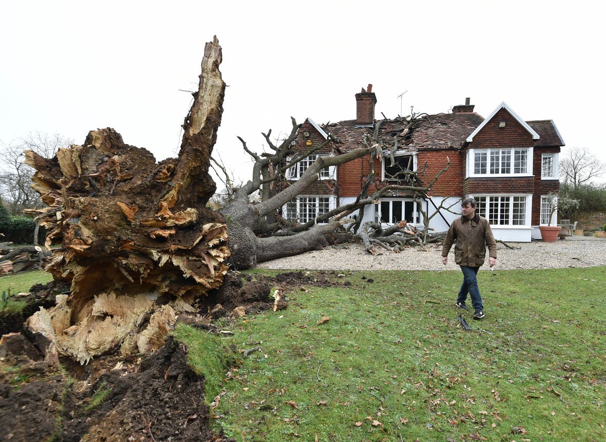 Storm Eunice: Family home destroyed by falling 400 year-old tree crashed into children’s bedrooms