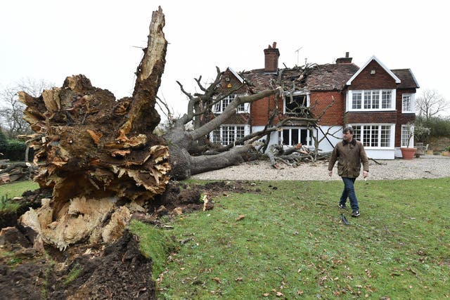 <p>Dominic Good outside his house that was severely damaged by the tree </p>