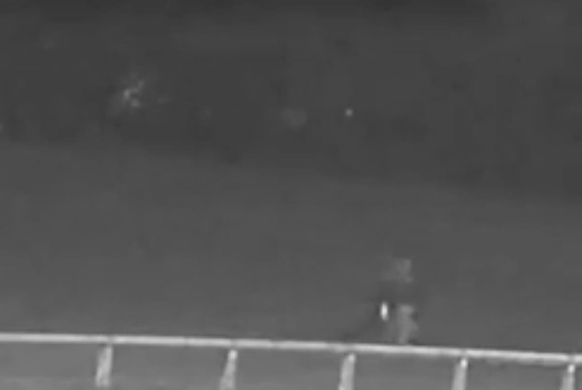 ‘Distressing’ moment sex attacker ‘zaps’ woman from behind in playing field until she passes out ‘Distressing’ moment sex attacker ‘zaps’ woman from behind in playing field until she passes out