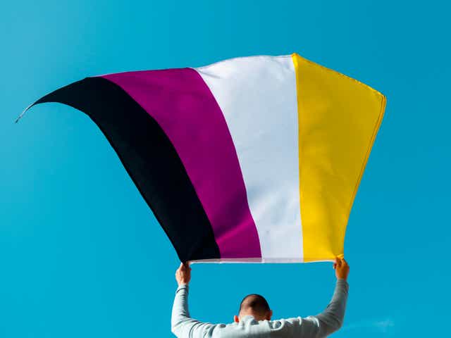 <p>Mexico issues its first birth certificate that officially recognises non-binary as a gender</p>