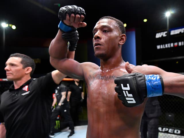 <p>Jamahal Hill held the UFC light-heavyweight title for six months in 2023 </p>