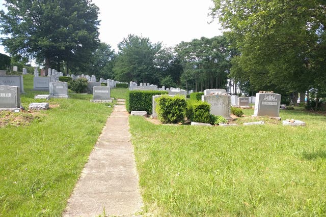 <p>Baron Hirsch Cemetery in Staten Island, New York City. </p>