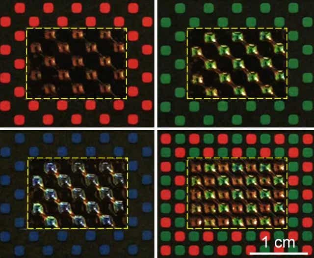 <p>Each artificial chromatophore acts like a pixel to match the surrounding colour and texture to achieve a camouflage effect</p>