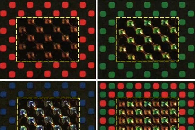<p>Each artificial chromatophore acts like a pixel to match the surrounding colour and texture to achieve a camouflage effect</p>
