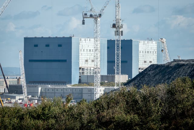<p>While elephant: The long delayed Hinkley Point C power plant which is finally getting built</p>