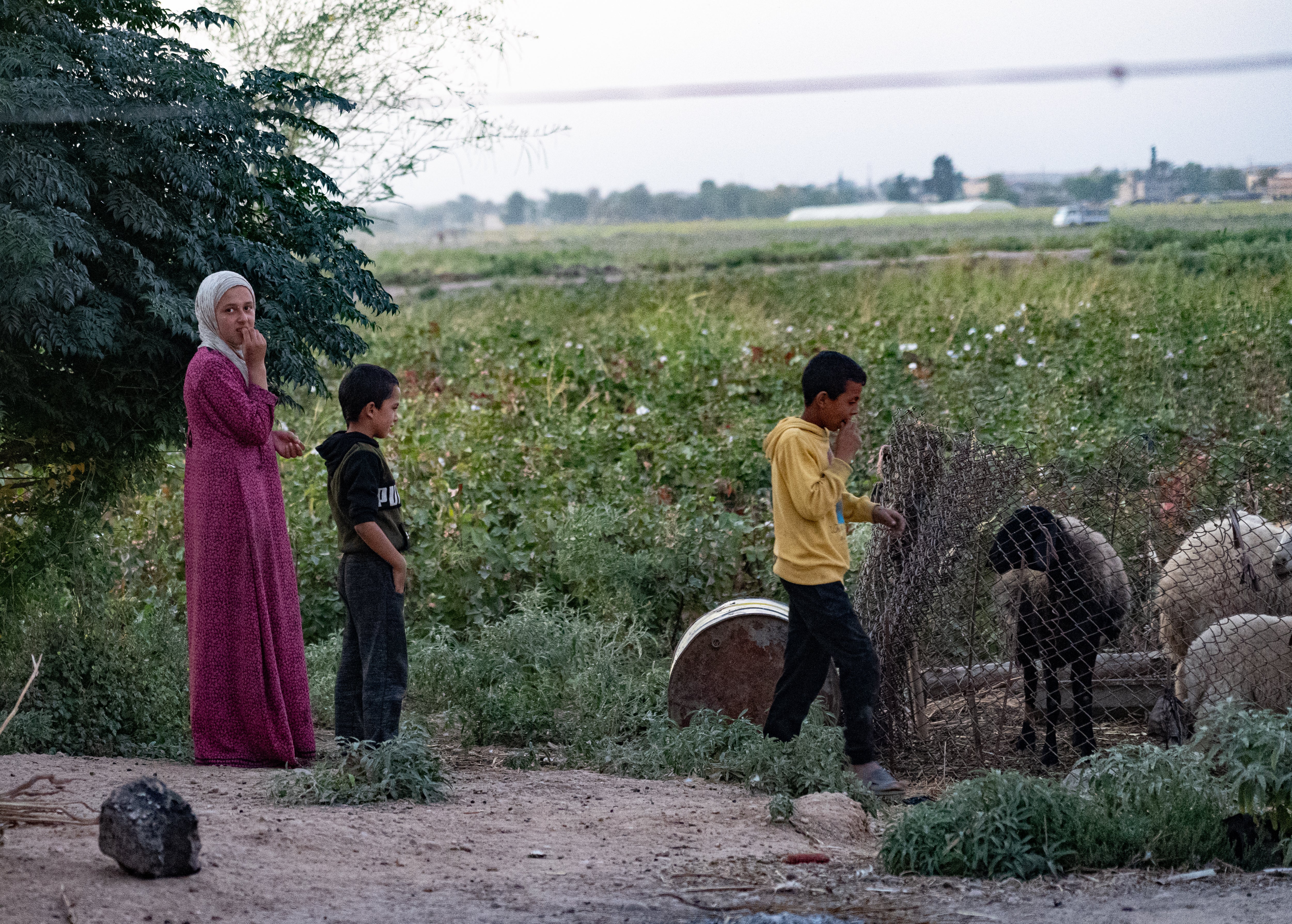 Children play in a village once held by Isis in Deir Ezzor, Syria