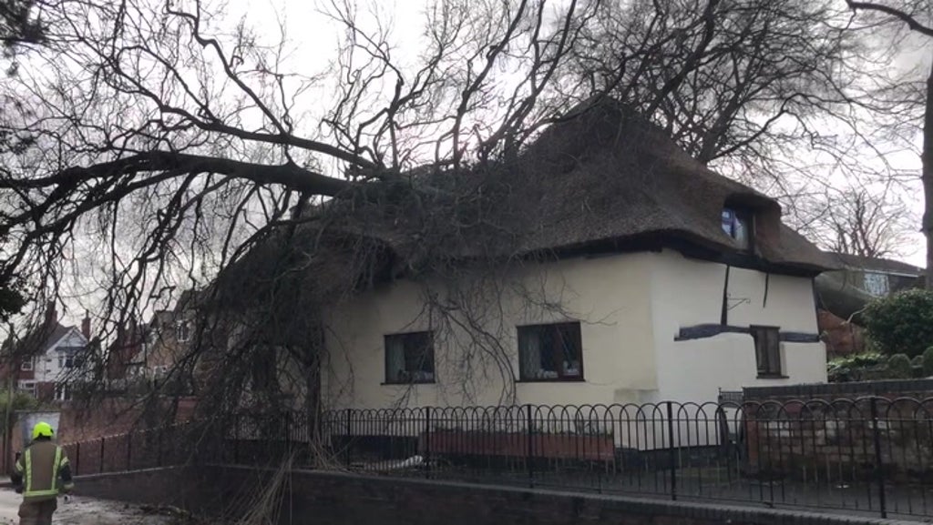 Storm Franklin: Tree falls on house in Leicestershire